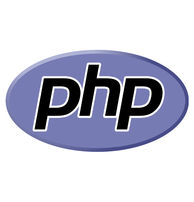 php website design in bathinda